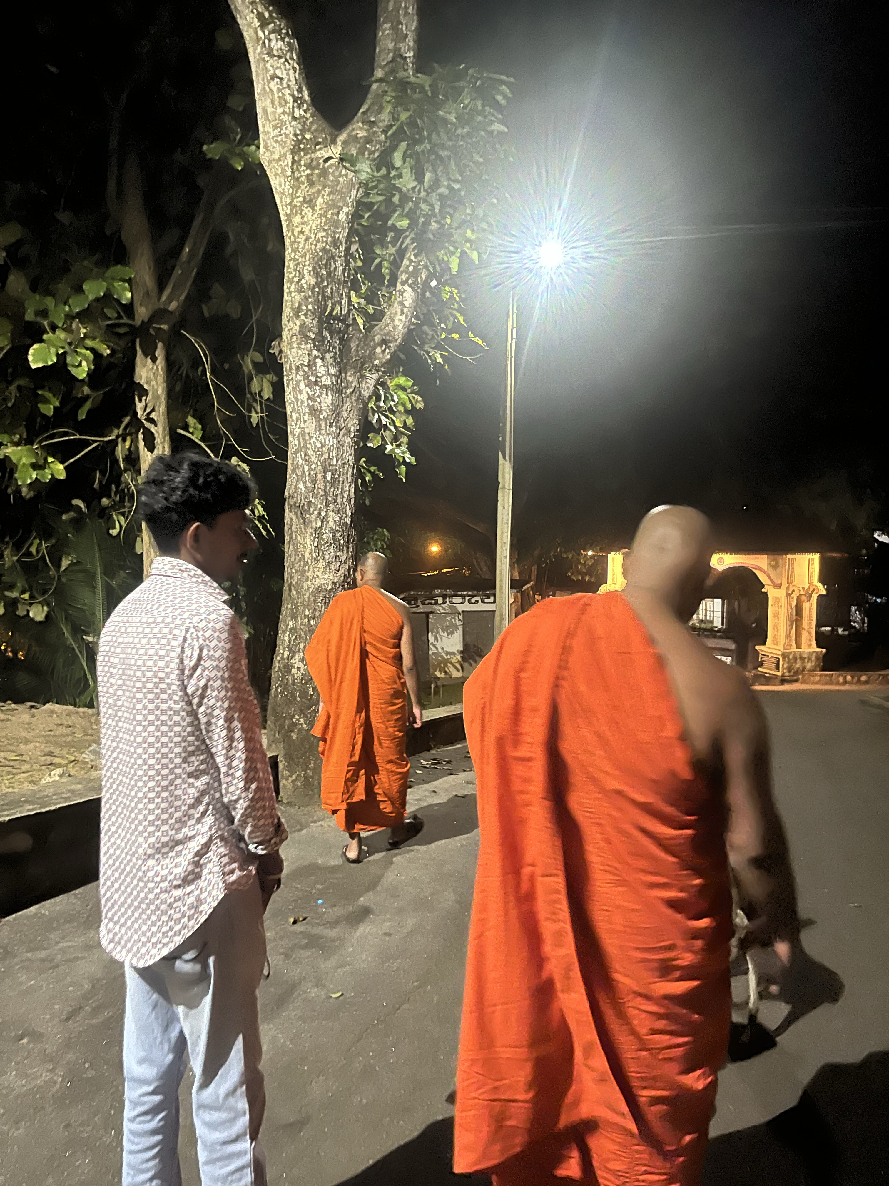 Tusker Entrance Gate - Gallery Image 11